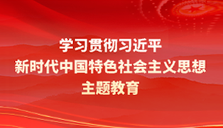 學(xué)習(xí)貫徹習(xí)近平新時(shí)代中國(guó)特色社會(huì)主義思想主題教育